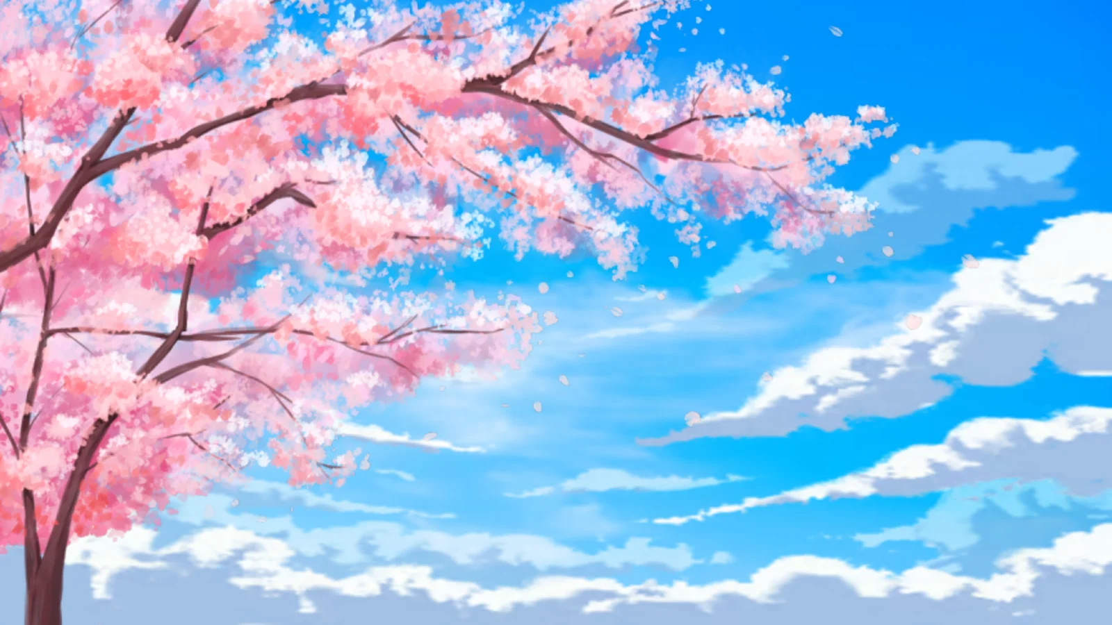 Pink cherry blossoms under a bright blue sky